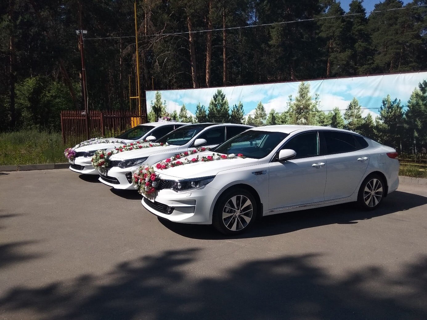 Автомобили на свадьбу KIA OPTIMA в новом кузове